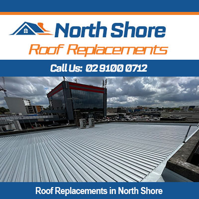 Professional metal roof replacement services for North Shore residential properties